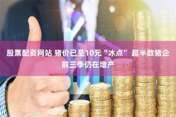 股票配资网站 猪价已至10元“冰点” 超半数猪企前三季仍在增产